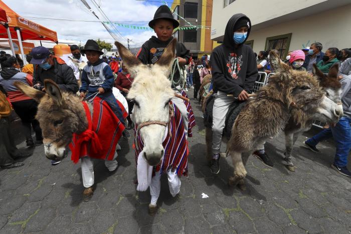 Burros