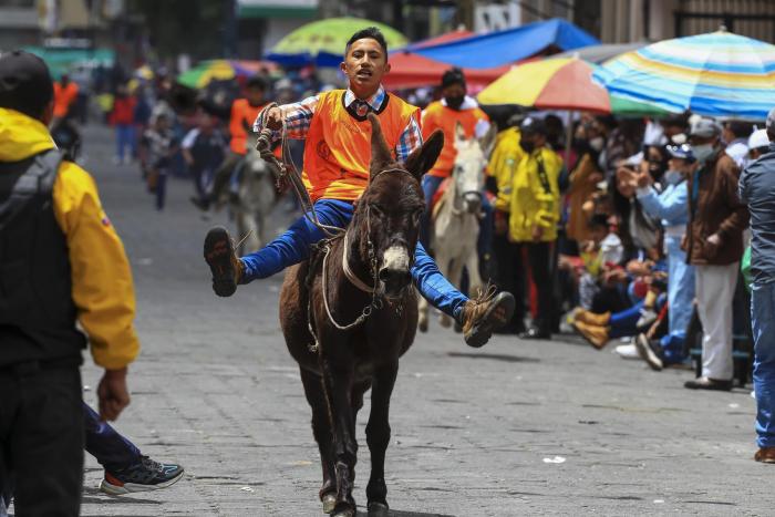 Burros