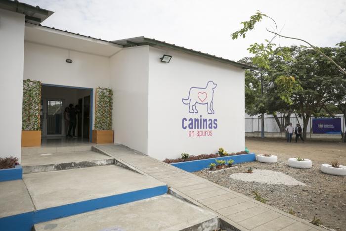 Maternidad para perros