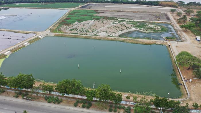 laguna de oxidación daule
