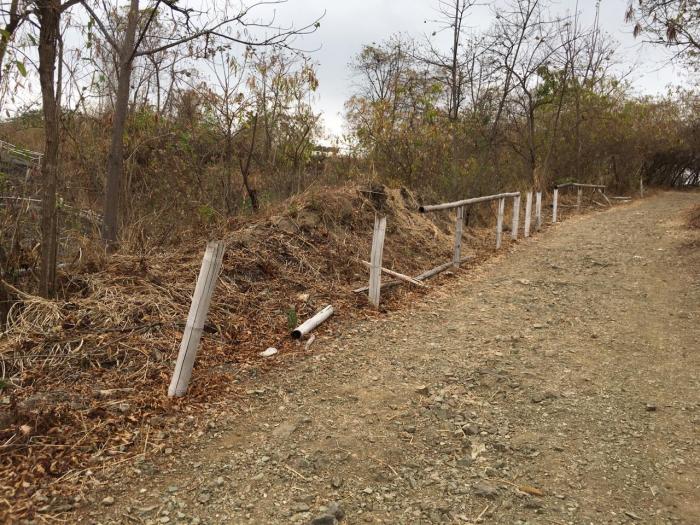 sendero parque samanes
