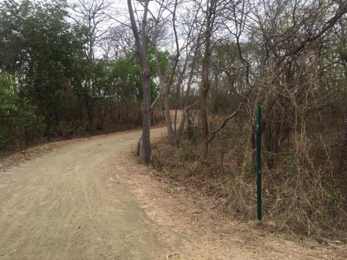 Sendero parque Samanes
