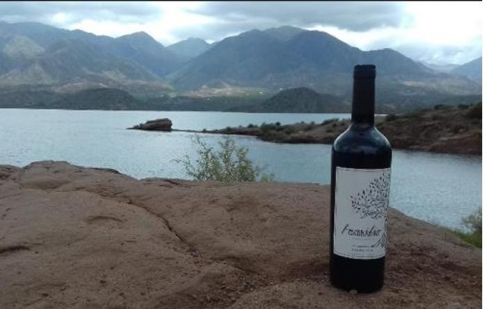 VINO DE GABBARINI