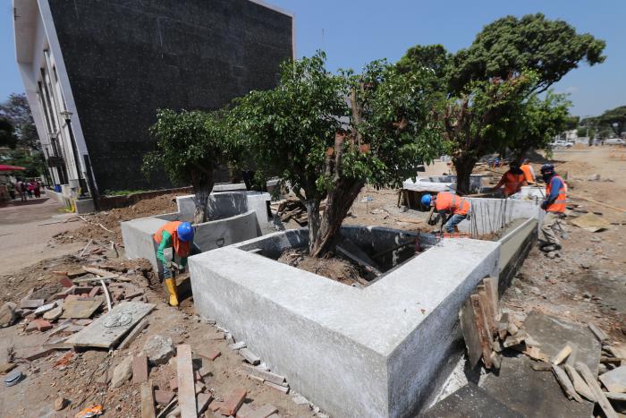 Proyecto Delta (jardineras)