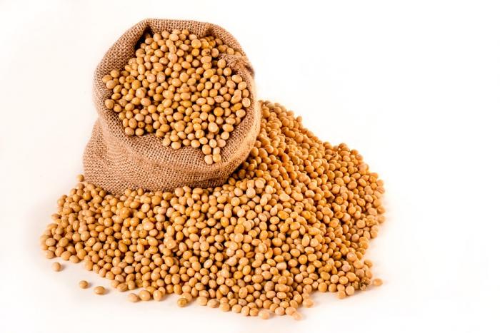 soya