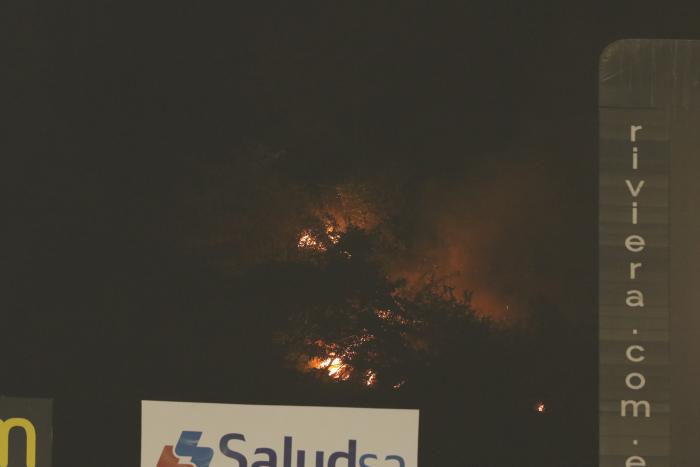 Noche Amarilla