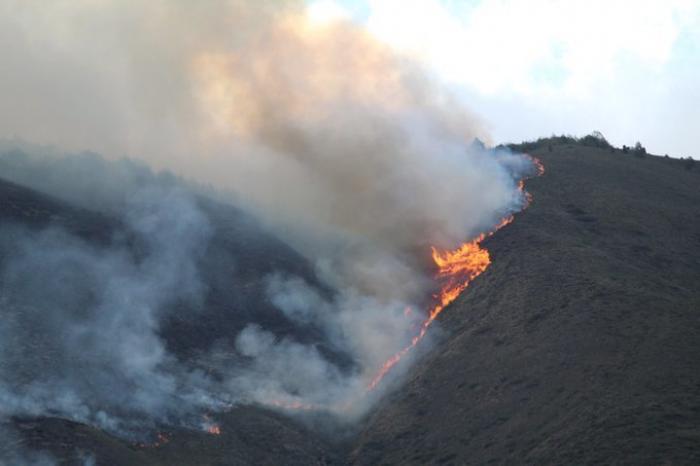 incendio casitagua