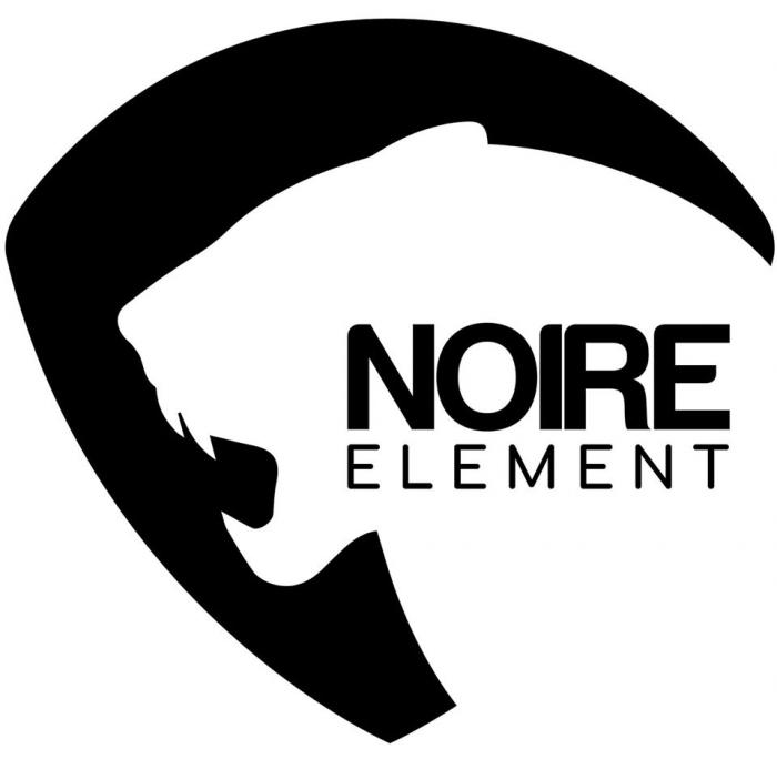 noire element esports