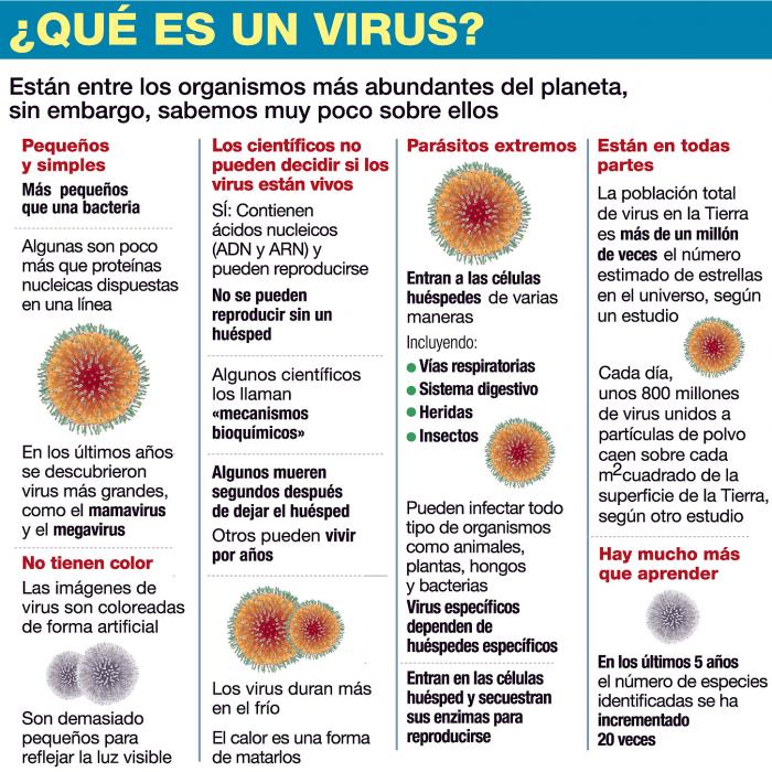 CORONAVIRUS-PLUS-INFO-WEB-P2