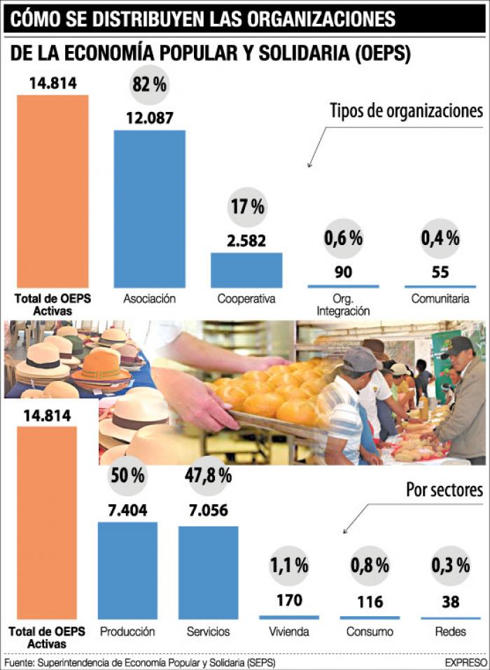 como-se-distribuye-el-mercado