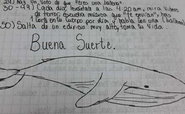 ballena-azul-kfiH-R9SJeLqK900YlLYQmIMGKzI-624x385@RC