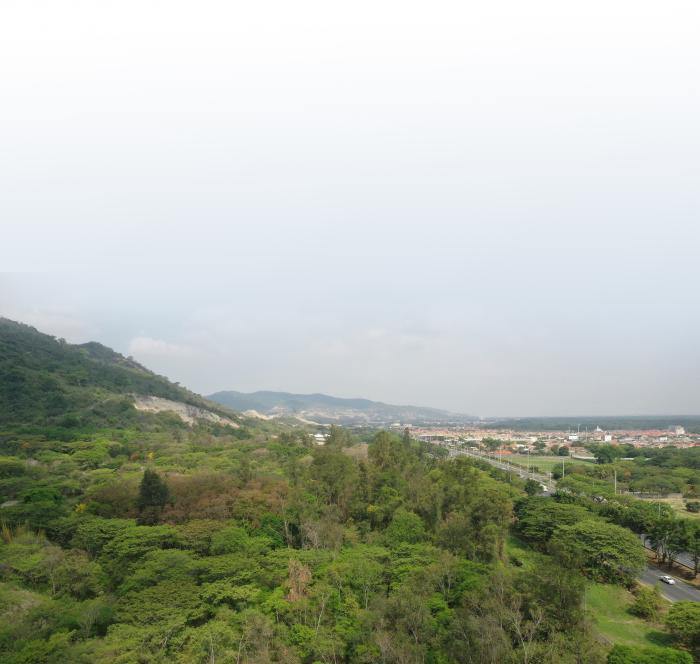 cerrro blando