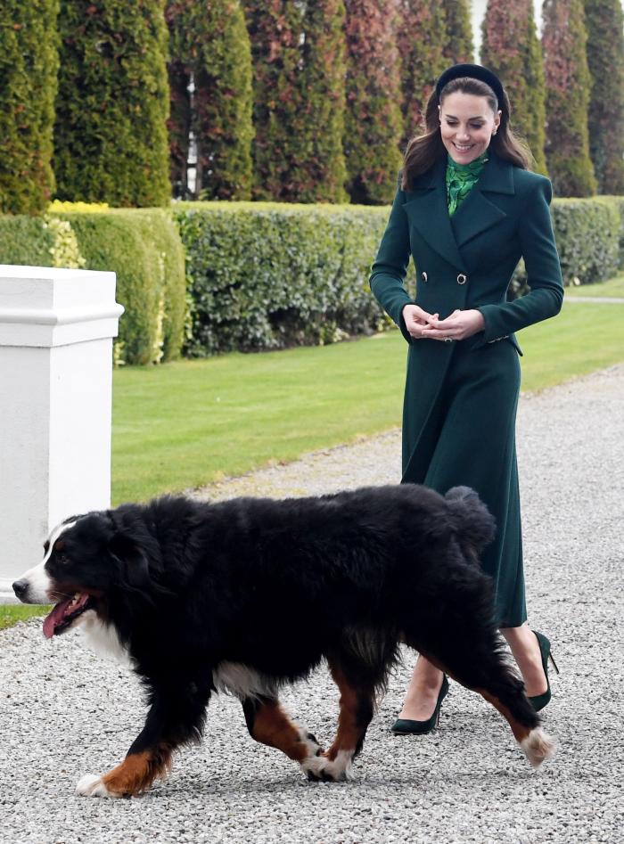 Duke and Duchess of C (31343607)