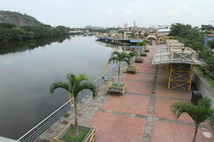 guayas