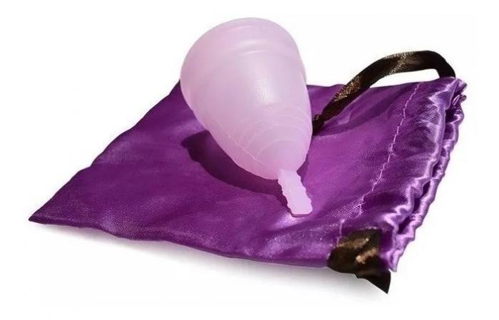 copa menstrual