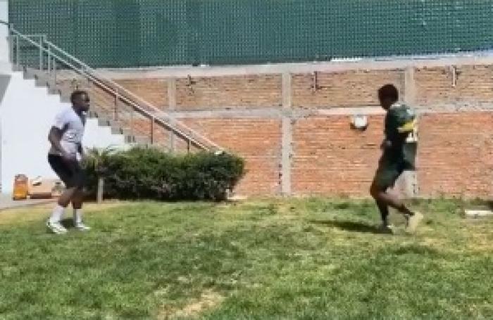 renato ibarra 2