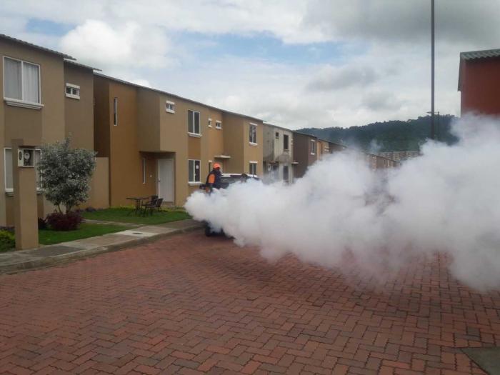 DENGUE 2