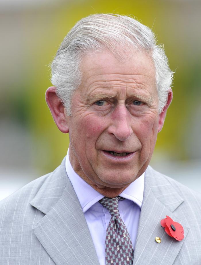 Prince Charles infect (31501533)