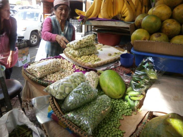 ALIMENTACION 3