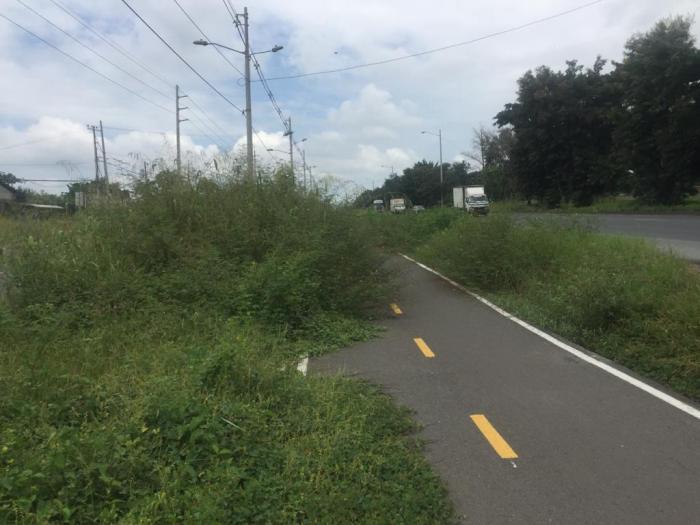 ciclovía via a la costa