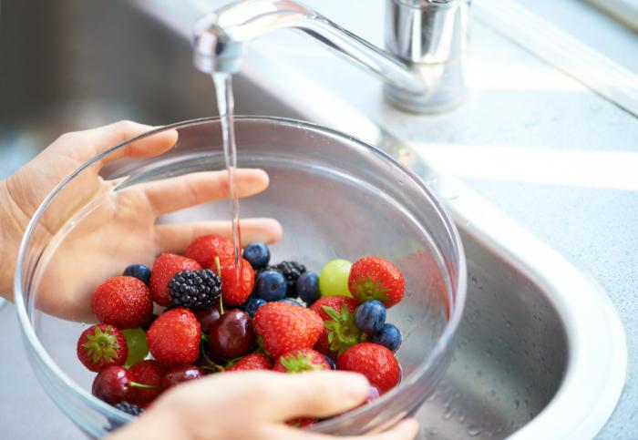 alimentos3.jpg