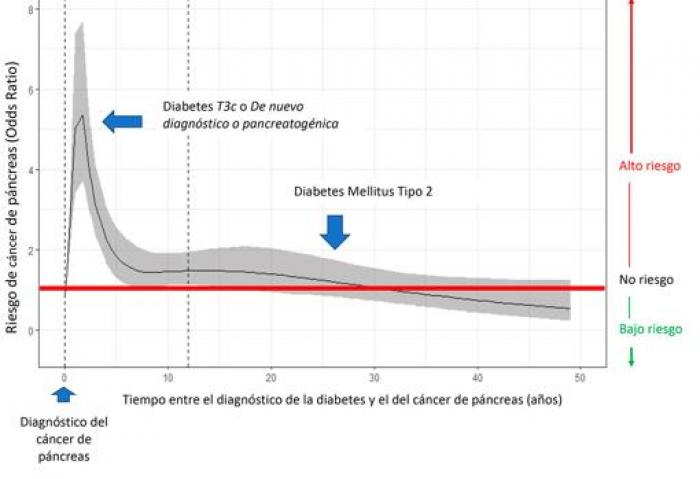 ESTUDIO CNIO PANCREAS DIABETES