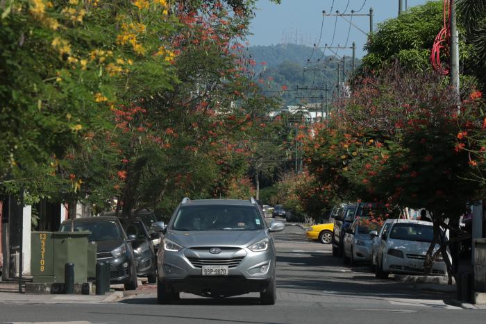 BARRIO DEL SALADO