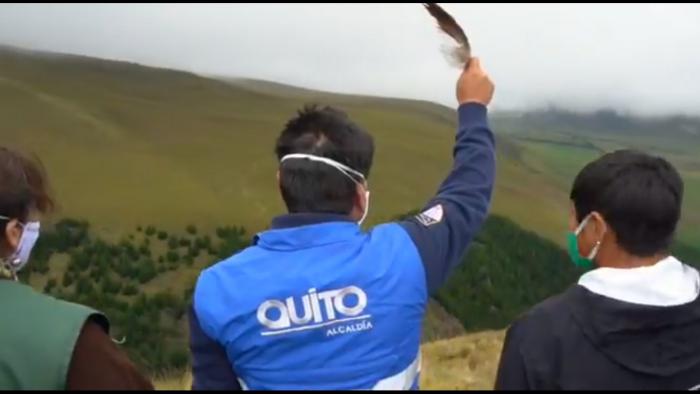 Jorge Yunda durante la liberación de un cóndor en el páramo del Antisana.