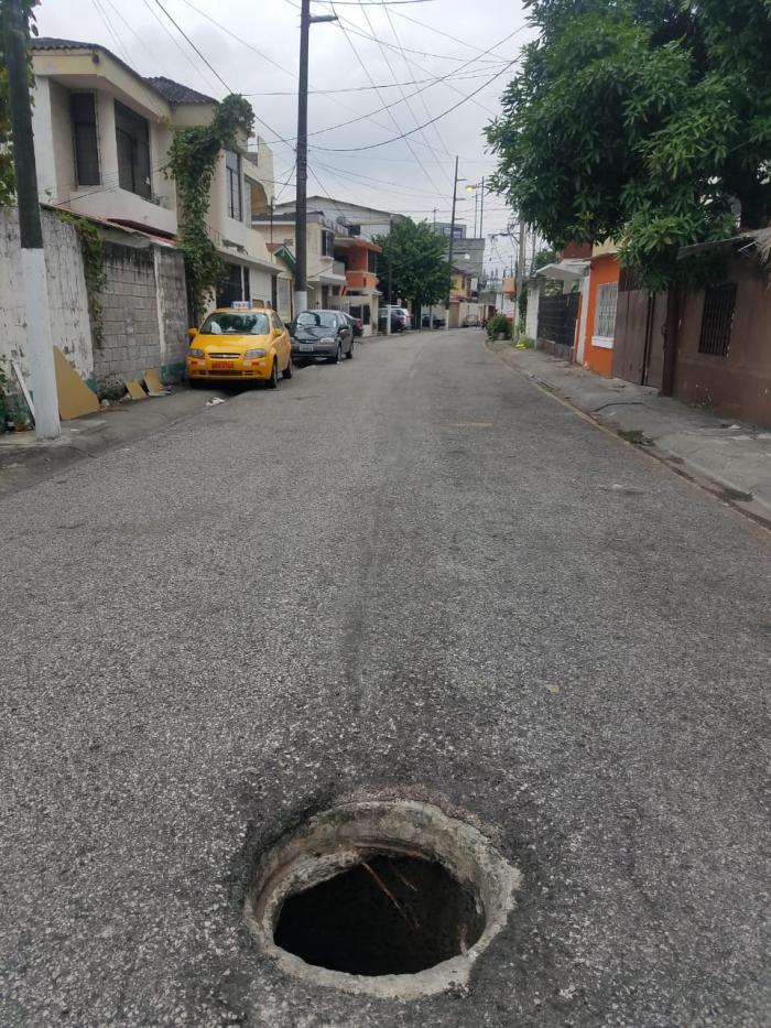 Los ceibos