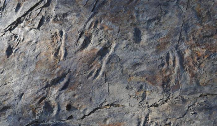 huellas-cocodrilo-prehistorico