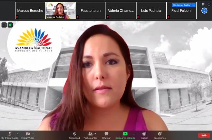 Johanna Cedeño, presidenta de la Comisión de Fiscalización de la Asamblea Nacional