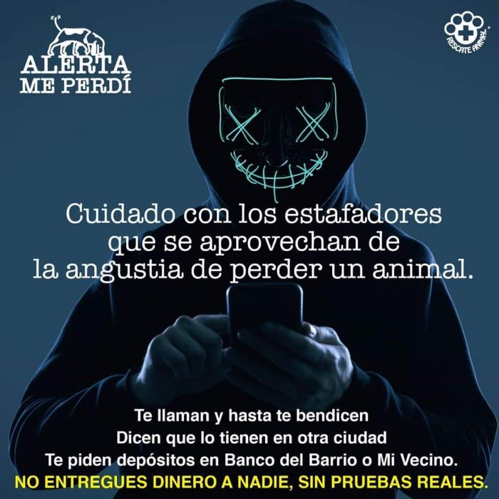 Alerta