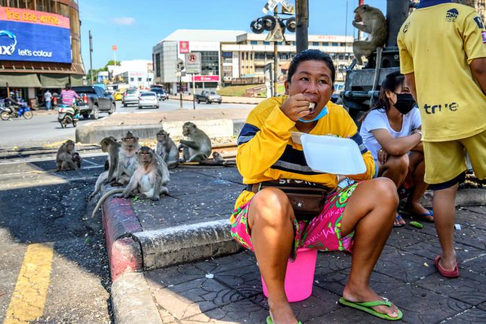 Tailandia_Lopburi_Monos