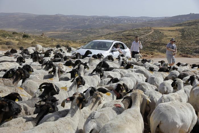 Cisjordania_Israel_Palestina_Conflicto