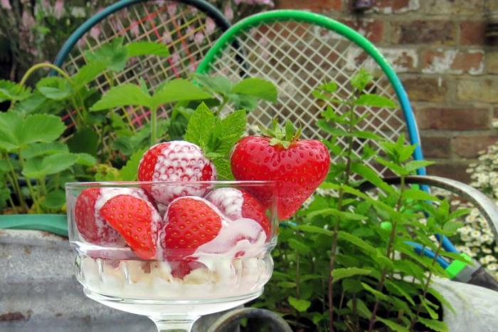 fresas-con-crema