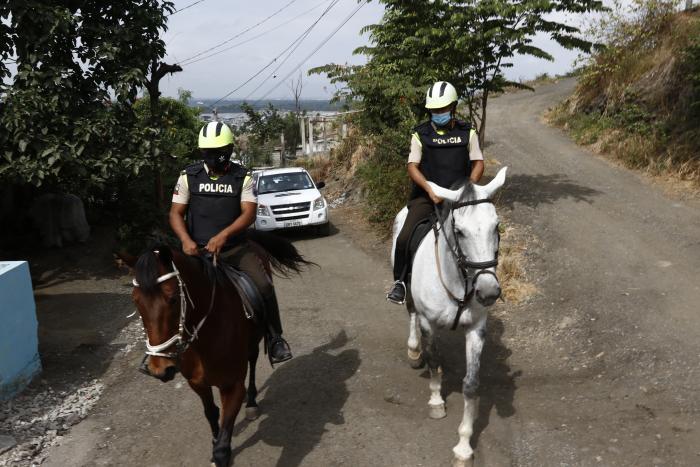 POLICIA ECUESTRE QUE H(32035327)