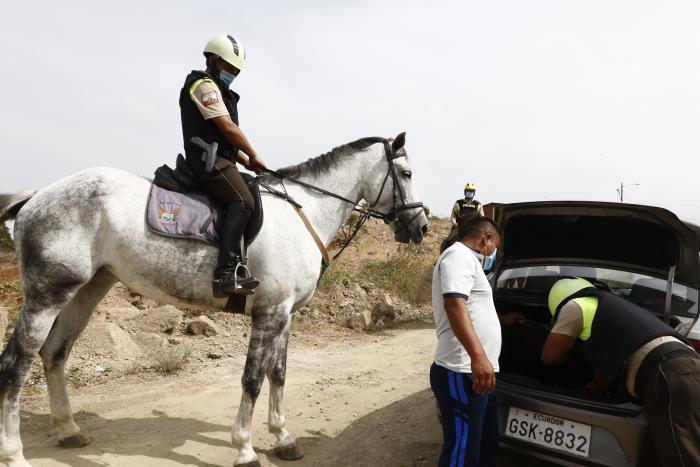POLICIA ECUESTRE QUE H(32035326)