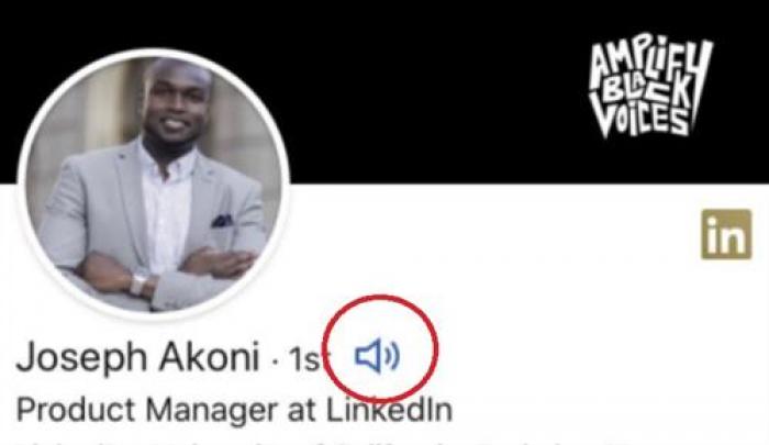 Audios en los nombres de LinkedIn.