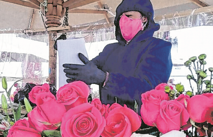 plazo flores 5