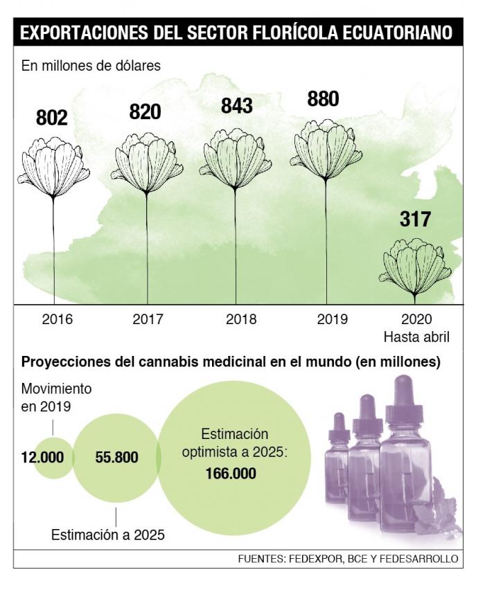 Infografía sector floricultor. Flores.