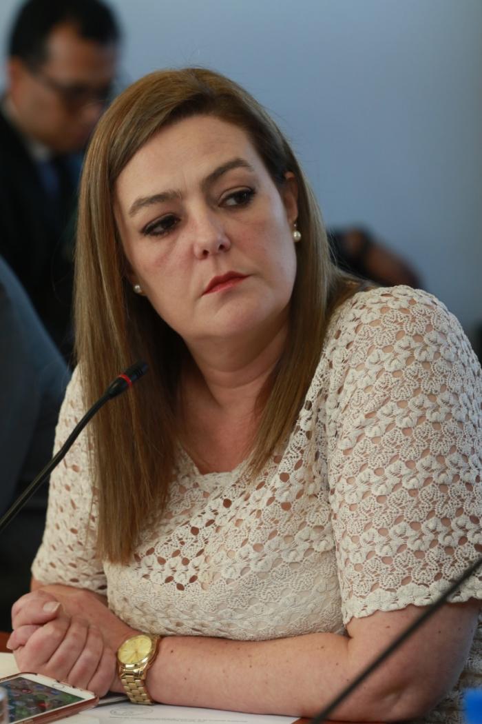 Asambleísta Lourdes Cuesta