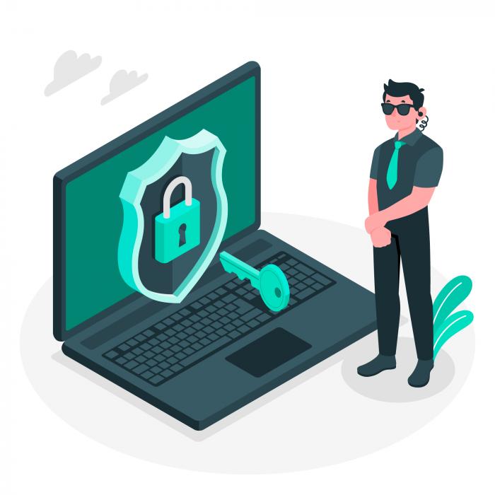 seguridad-online
