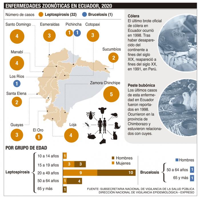 Gráfico