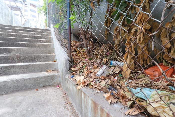 escalinatas de Lomas (32141088)