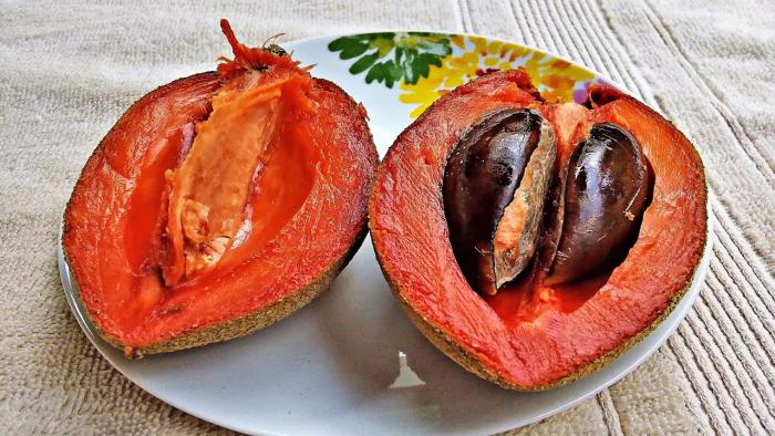 mamey
