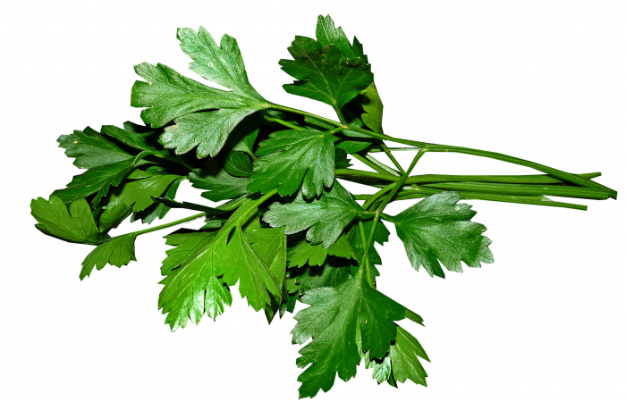 Perejil, para aromatizar las comidas