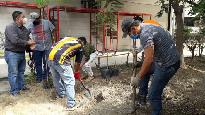tala de arboles estatal