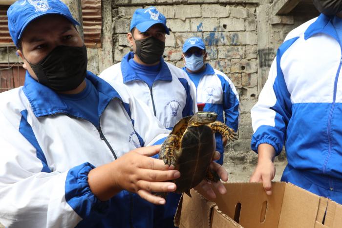 MINGA EN LAS CALLES (32257628)