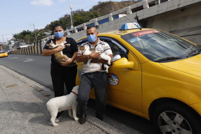 GATOS Y PERROS VIAJERO(32278075)