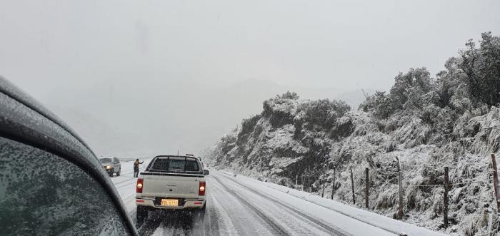 nieve
